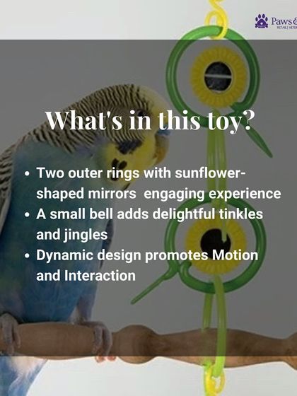 PawsnCollars - Pet Supplies Playtime & Enrichment Toys photo 14