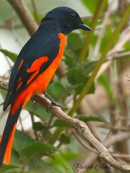 Himalayan Encounters photo 11