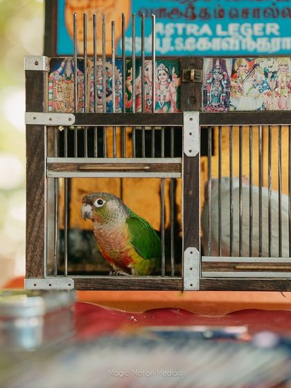 The Tales of Tradition - Milestone & Social Event Planning Immersive Guest Experiences photo 12