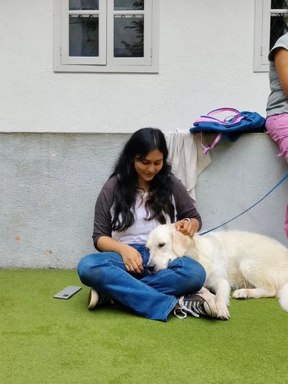 A quiet moment with a beautiful golden retriever. There is nothing like the calm, trusting presence of a dog.