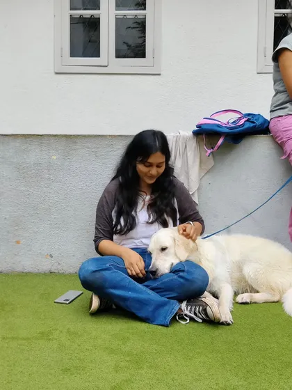 A quiet moment with a beautiful golden retriever. There is nothing like the calm, trusting presence of a dog.