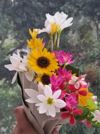 Urban Gardening Consultation