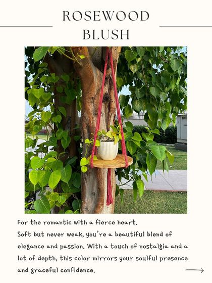 Our 'Swing Story' macrame hanger in Rosewood Blush, a dusty, warm pink. This color is for the romantic with a fierce heart, reflecting a blend of elegance and passion. The 4-foot piece includes a round shelf for your keepsakes.