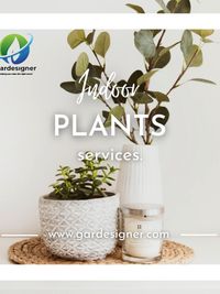 Interior Plantscaping