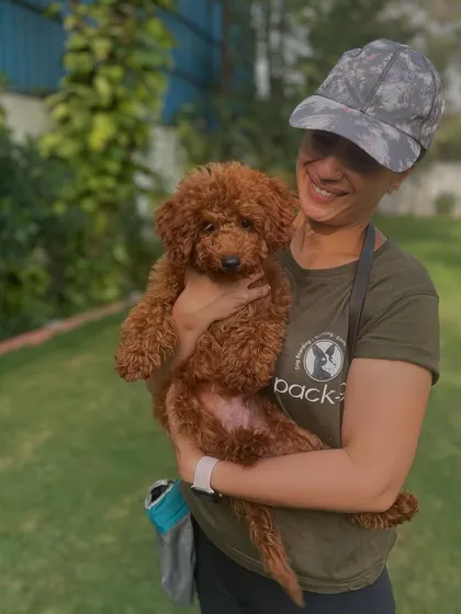 Cuddles with a fluffy poodle. We make sure every dog gets plenty of affection during their stay.