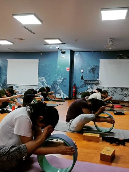 A moment of focused stretching using the yoga wheel. This prop is excellent for targeting specific muscles and achieving a deeper, more supported stretch in the hamstrings and back.