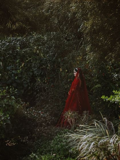 An artistic and moody bridal portrait. The bride in her red lehenga is partially hidden amongst lush, dark green foliage, creating a mysterious and romantic image.