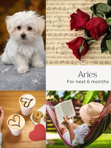 Your Stars Decoded: Zodiac Insights photo 26