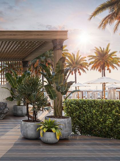 Luxury & Hospitality Interiors photo 18