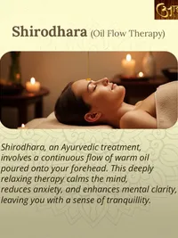 Panchakarma (Detox & Rejuvenation Therapies)