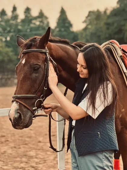 A rider gently holds the bridle, sharing a calm and trusting gaze with the horse. It's a perfect example of the gentle partnership we foster.