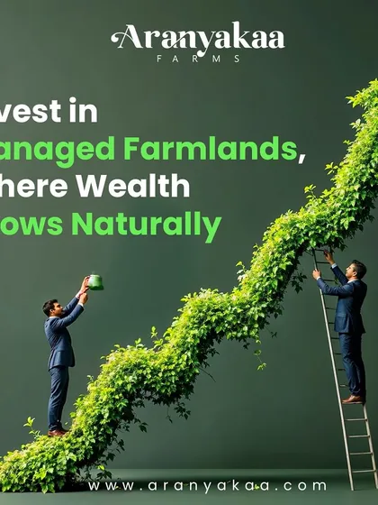 We believe that true wealth grows naturally. This visual represents our core philosophy: investing in managed farmlands is a direct investment in sustainable growth. Watch your portfolio flourish alongside nature.