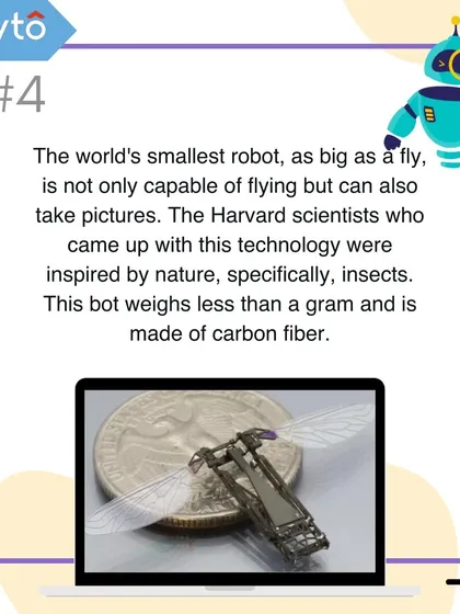 The world's smallest robot is as small as a fly and was inspired by insects. Created by Harvard scientists, this carbon fiber bot can fly and take pictures.
