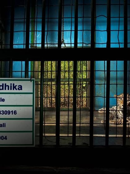 Documenting Coexistence: Research & Community photo 3