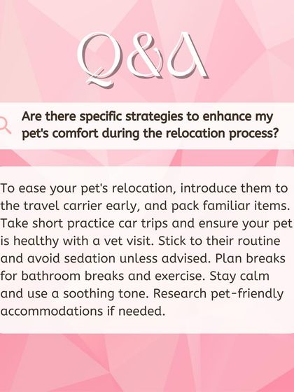 Global Pet Cab - Domestic Pet Relocation Your Pet Travel Questions, Answered photo 8