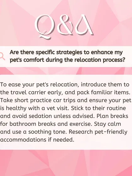 We believe in empowering pet parents with information. This Q&A graphic offers practical tips for enhancing your pet's comfort during relocation, such as familiarizing them with their carrier and maintaining their routine.