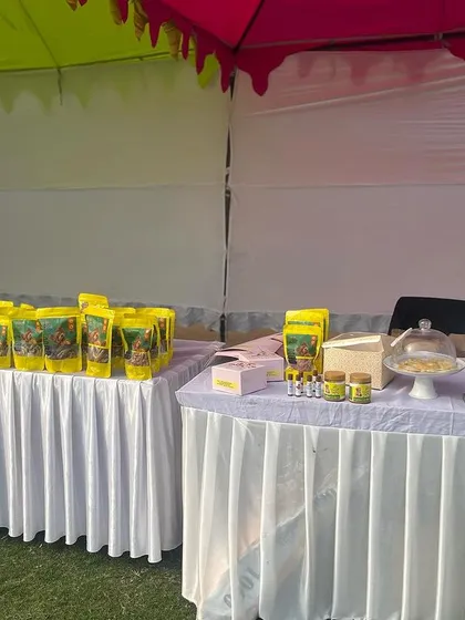 A look at a vendor stall set up under a colorful tent at our Furry Fashion Fiesta. I coordinate with various brands to create a complete shopping and entertainment experience.