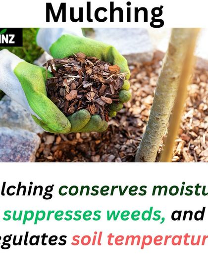 Hygrinz - Garden Design & Landscaping Your Guide to a Green Thumb photo 12