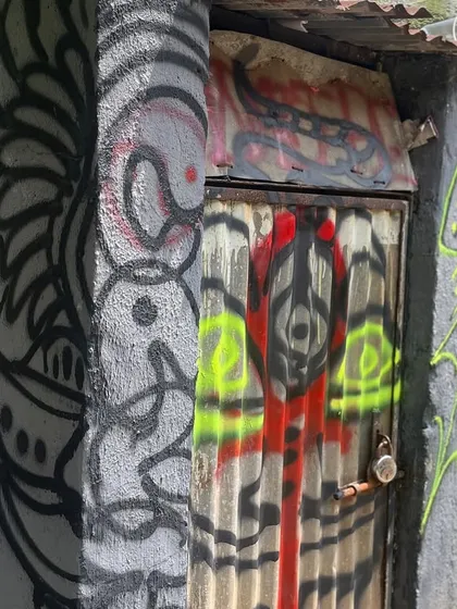 Random art on a small utility shed. The street is full of unexpected canvases, and we hit them all.