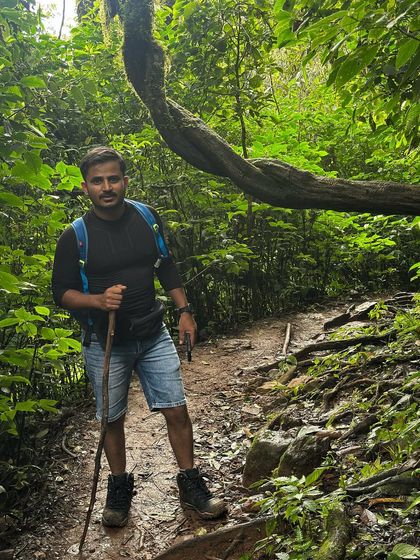 A trekker pauses on a forest trail in Kudremukha, surrounded by ancient trees and twisted vines. The jungle section is a unique part of this hike.