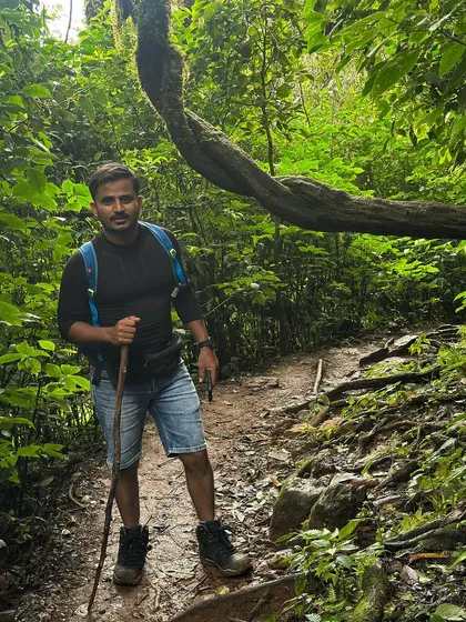 A trekker pauses on a forest trail in Kudremukha, surrounded by ancient trees and twisted vines. The jungle section is a unique part of this hike.