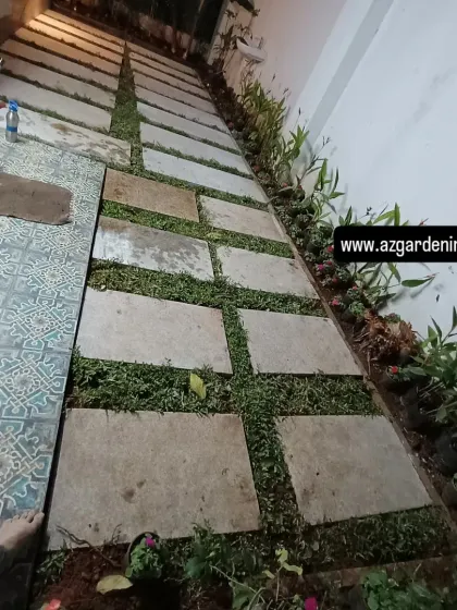The final result of the narrow backyard makeover. A beautiful stone pathway is now surrounded by fresh grass and new plants, making the space both walkable and green.