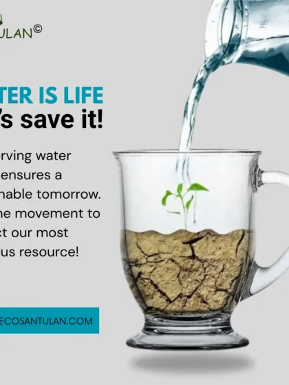 Eco Santulan - Water Management Solutions The Water Crisis: Our Mission to Help photo 17
