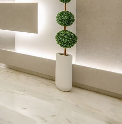 A minimalist detail of a topiary plant against a backlit wall panel, showcasing our attention to even the smallest decorative elements.