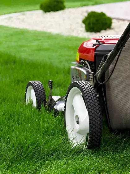 A perfect lawn is the foundation of a beautiful garden. We provide expert lawn care and maintenance, including precision mowing, to ensure your grass remains healthy, lush, and impeccably manicured throughout the year.