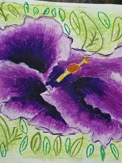 A close-up of a vibrant purple hibiscus flower drawn by Pranvi. She used oil pastels on paper to achieve rich color blending and texture in the petals.
