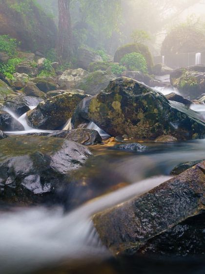 A long exposure of a stream in Meghalaya, with the water appearing milky and smooth as it flows over dark rocks. The soft light filtering through the misty forest adds to the magical atmosphere.