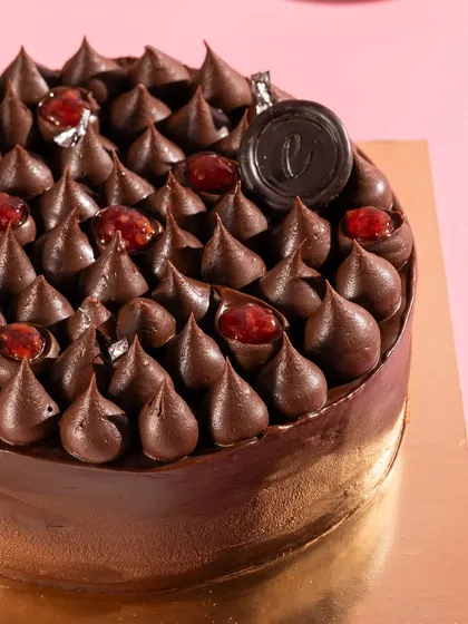 A detailed close-up of the chocolate piping on the cake. This macro shot emphasizes the craft and precision of the pastry chef.