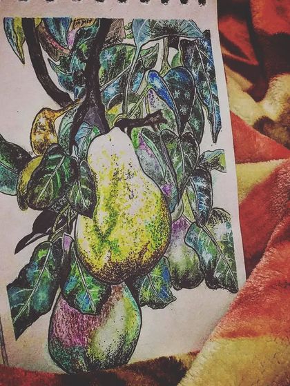 Different views of the finished pear watercolour sketch, showing the details and colours from various angles.