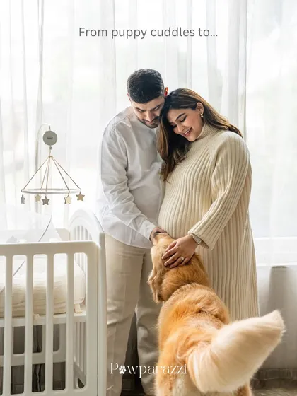 "From puppy cuddles to..." This image captures the complete family story, with Hugo the Golden Retriever watching his parents dance by the crib, ready for the next chapter.