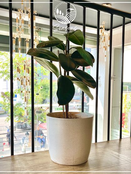 Indoor Plant Styling & Green Interiors photo 48