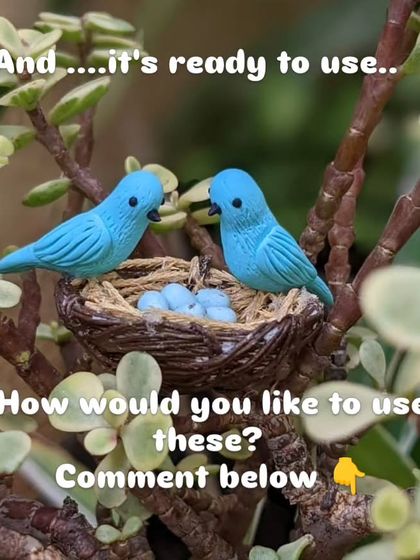 This is the final bird nest, ready to be used. How would you like to use this? I love seeing it tucked into the branches of a jade plant.