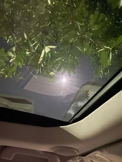 Additional Musings & Inspirations photo 20