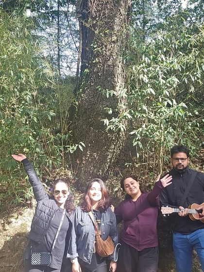 Music, nature, and good company. A participant plays the ukulele as we relax in the forest, creating a perfect, soulful soundtrack for our afternoon.
