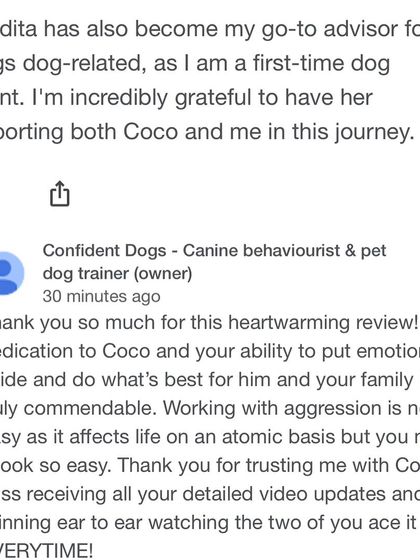 Confident Dogs - Canine Behavior Modification Real Dogs, Real Transformations photo 22