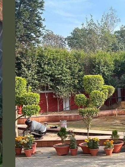 I M Design & Development - Educational Architecture & Interior Design Biophilic Design: Light, Air & Greenery photo 4