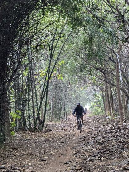 A rider cycles through a beautiful bamboo grove on one of our Sunday rides. Spending weekends in the outdoors with fun people is what it's all about.