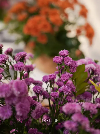 A close-up of the delicate purple flowers used in the Jaipur welcome lunch decor. The soft focus highlights the beauty and freshness of the blooms against a backdrop of orange flowers.