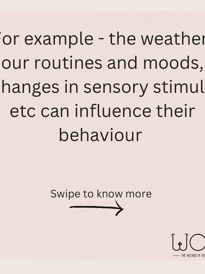 Things like the weather, changes in our routine, our own moods, and different sensory stimuli can all influence a dog's behavior on any given day.