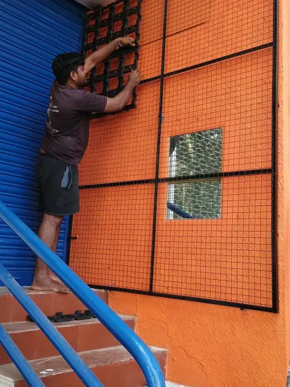 A to Z Gardening - Vertical Gardens Before & After Transformations photo 8