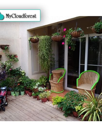 MyCloudforest - Terrace & Balcony Gardening Cozy Balcony Escapes photo 8