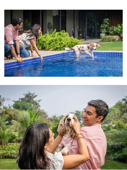 A collage from an outdoor family session with Chase the cocker spaniel. The photos capture both action, like jumping into the pool, and calm moments of affection.