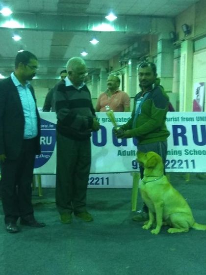 K9 Gurukul - Dog Training for Shows & Media On Set for TV and Commercials photo 5