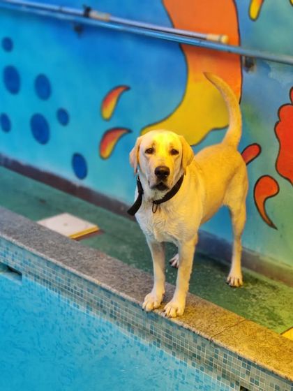Daksha standing by the edge, getting ready for a swim. The wide pool edges give them a safe place to stand before jumping in.