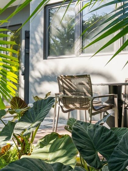 A small patio area nestled among large-leafed tropical plants. Even compact spaces can be made to feel like a private jungle retreat with the right plant selection.