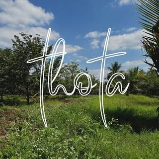 Thòta
